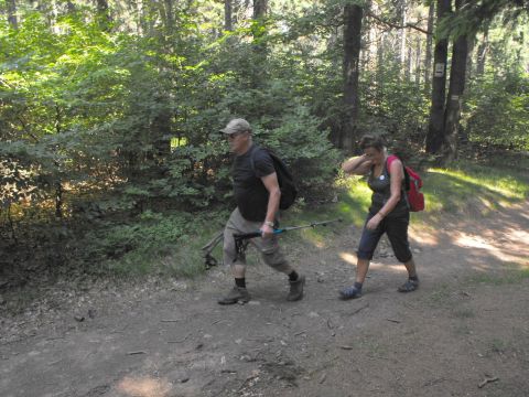 Wycieczka w Góry Sowie s35 - PTTK Strzelin