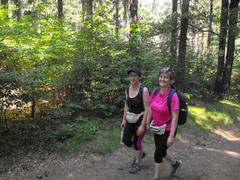 Wycieczka w Góry Sowie s42 - PTTK Strzelin