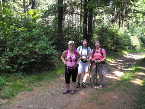 Wycieczka w Góry Sowie s47 - PTTK Strzelin