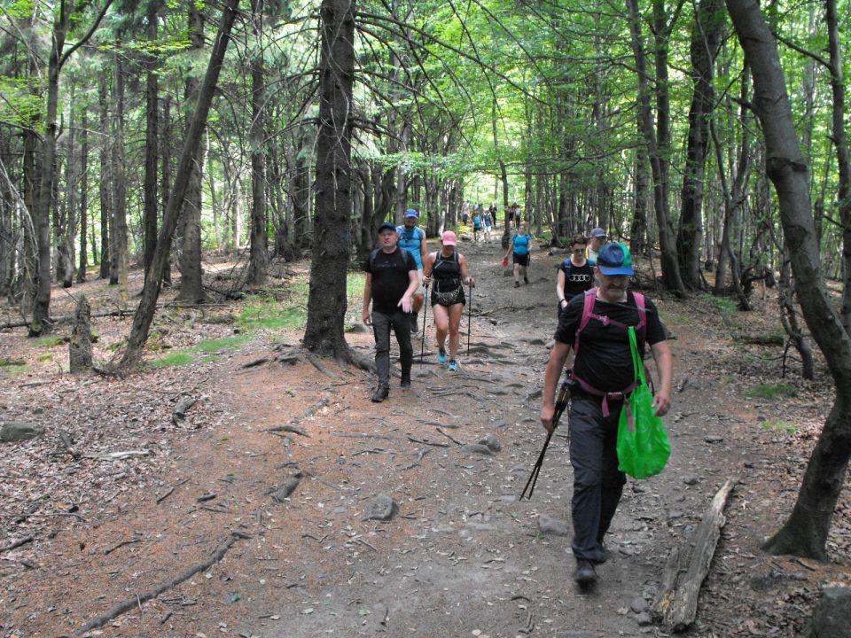 Wycieczka w Góry Sowie s002 - PTTK Strzelin