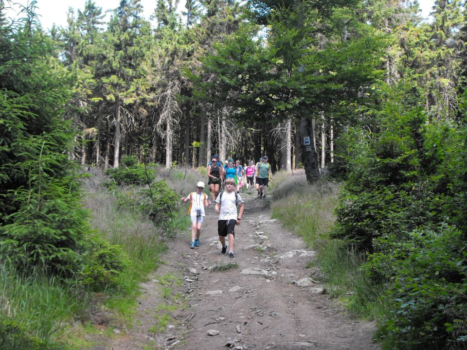 Wycieczka w Góry Sowie s002 - PTTK Strzelin