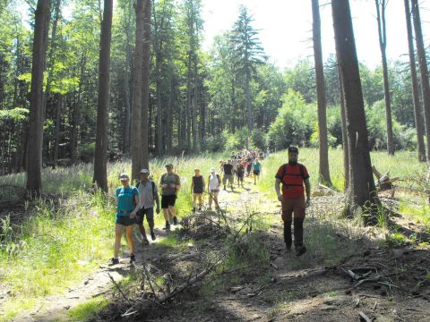 Wycieczka w Góry Sowie s91 - PTTK Strzelin