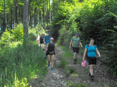 Wycieczka w Góry Sowie s93 - PTTK Strzelin