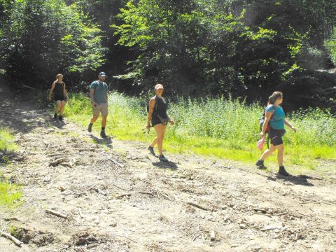 Wycieczka w Góry Sowie s95 - PTTK Strzelin