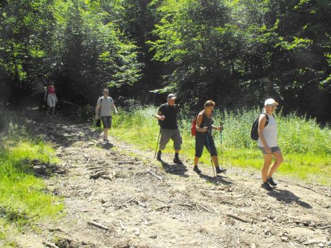 Wycieczka w Góry Sowie s96 - PTTK Strzelin