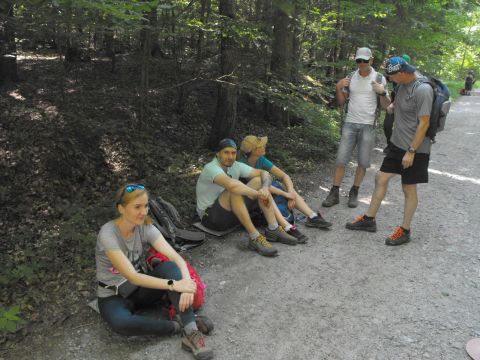 Wycieczka w Góry Sowie s102 - PTTK Strzelin