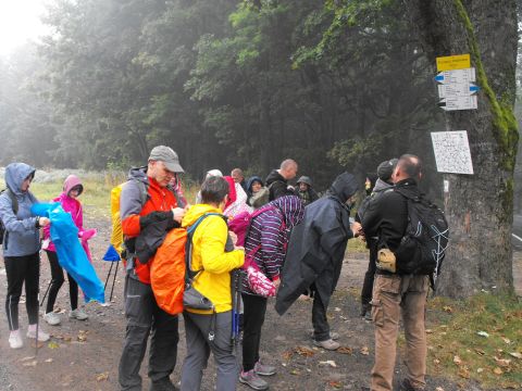 Wycieczka w Góry Sowie s1 - PTTK Strzelin