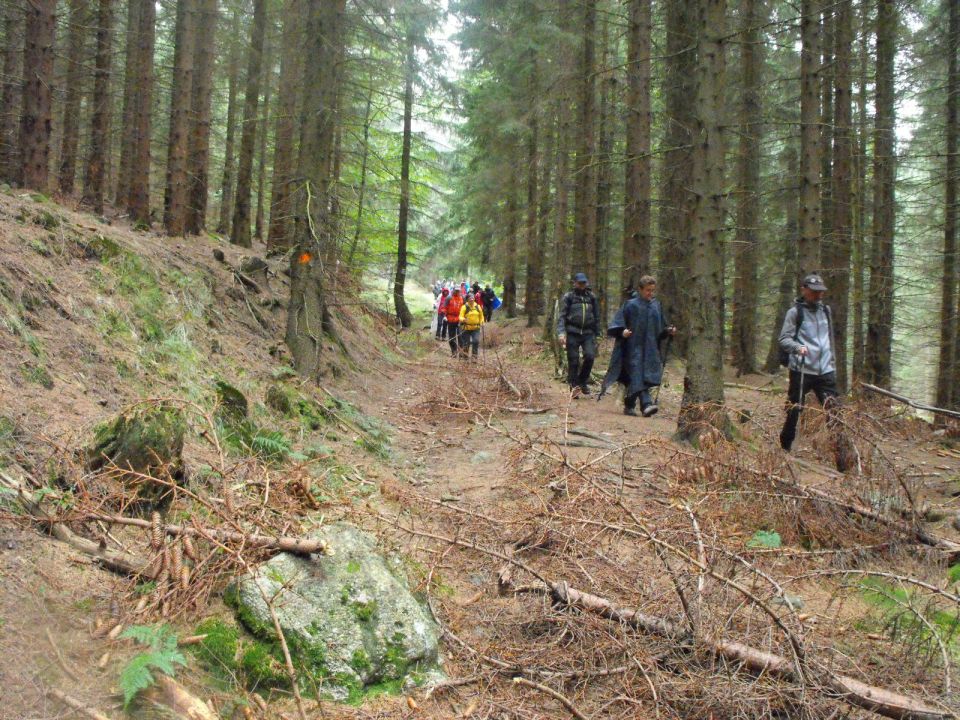 Wycieczka w Góry Sowie s002 - PTTK Strzelin