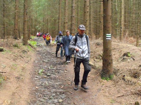 Wycieczka w Góry Sowie s11 - PTTK Strzelin