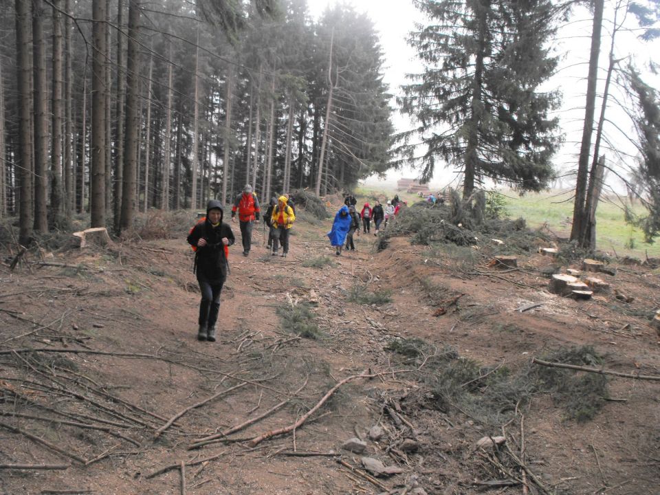 Wycieczka w Góry Sowie s002 - PTTK Strzelin