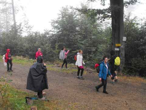 Wycieczka w Góry Sowie s20 - PTTK Strzelin