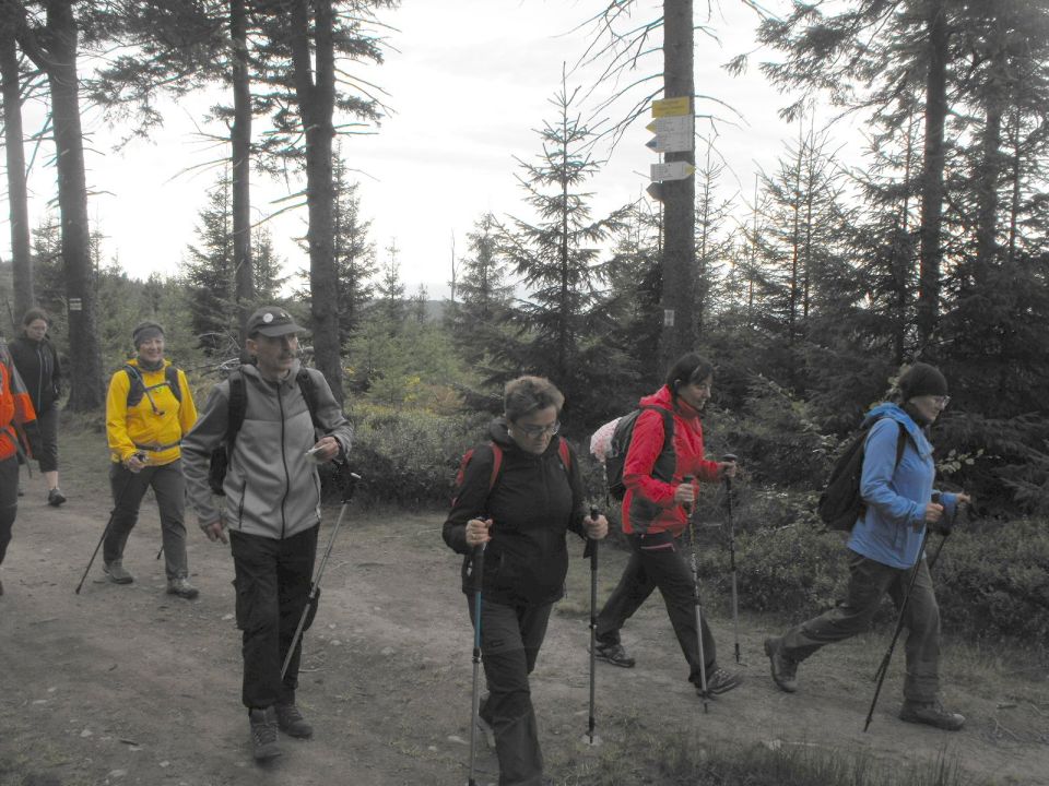 Wycieczka w Góry Sowie s002 - PTTK Strzelin