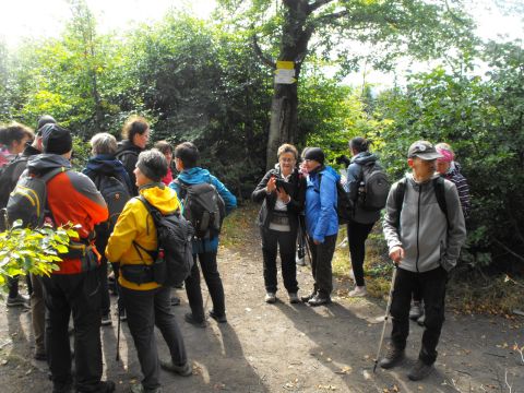 Wycieczka w Góry Sowie s49 - PTTK Strzelin