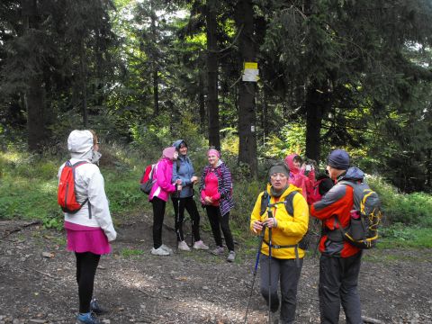 Wycieczka w Góry Sowie s55 - PTTK Strzelin