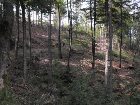 Wycieczka w Góry Sowie s63 - PTTK Strzelin