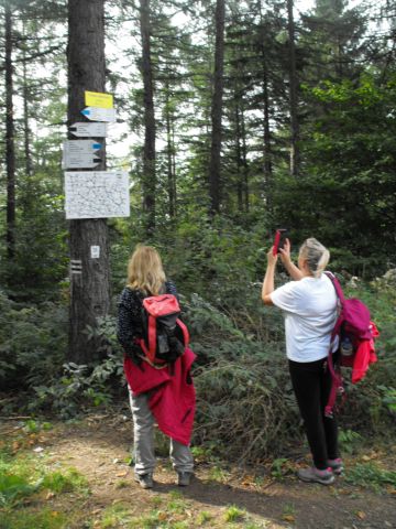 Wycieczka w Góry Sowie s75 - PTTK Strzelin