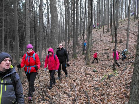 Wycieczka w Góry Sowie s14 - PTTK Strzelin