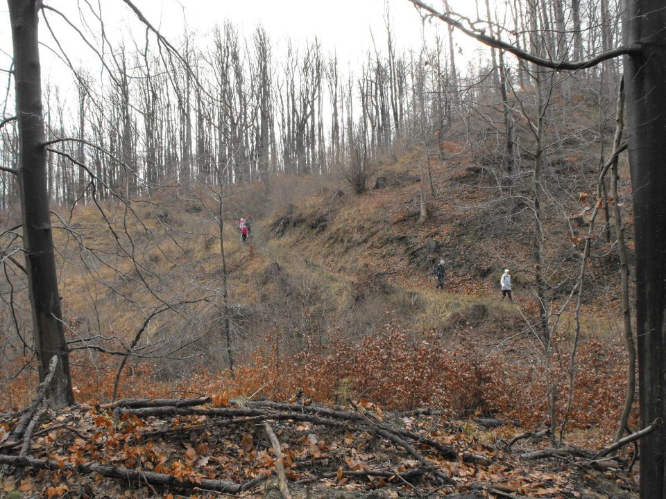 Wycieczka w Góry Sowie s002 - PTTK Strzelin