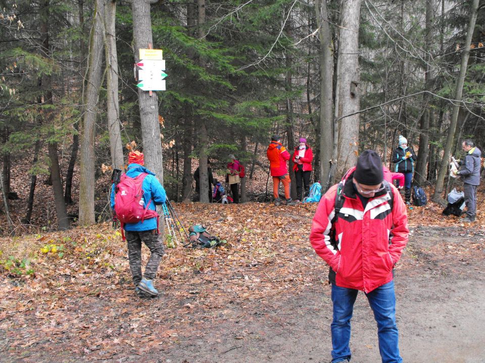 Wycieczka w Góry Sowie s002 - PTTK Strzelin