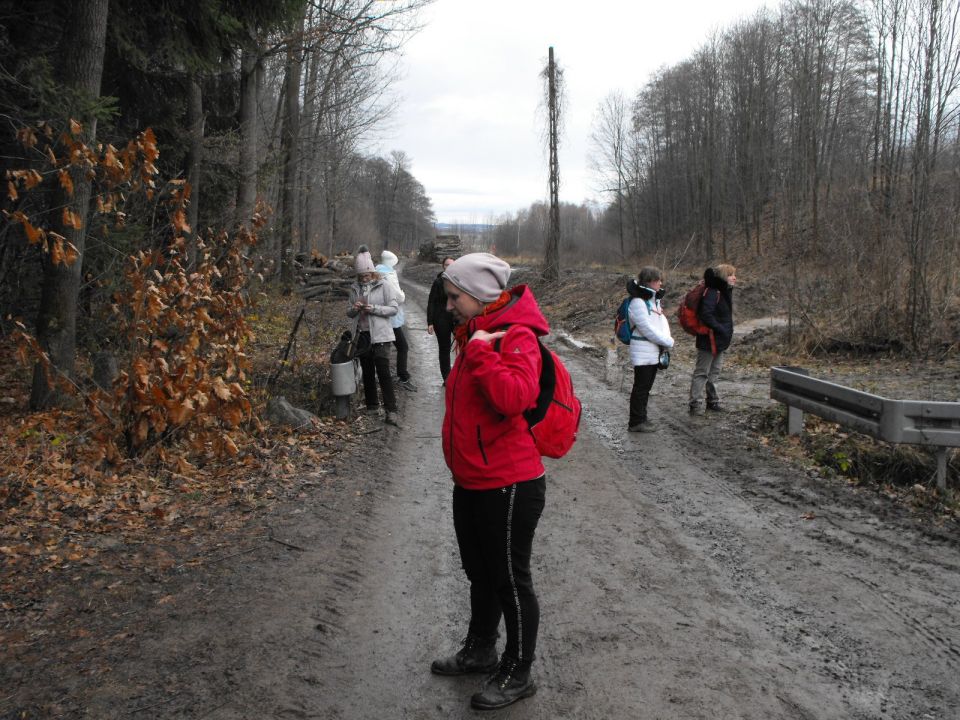 Wycieczka w Góry Sowie s002 - PTTK Strzelin