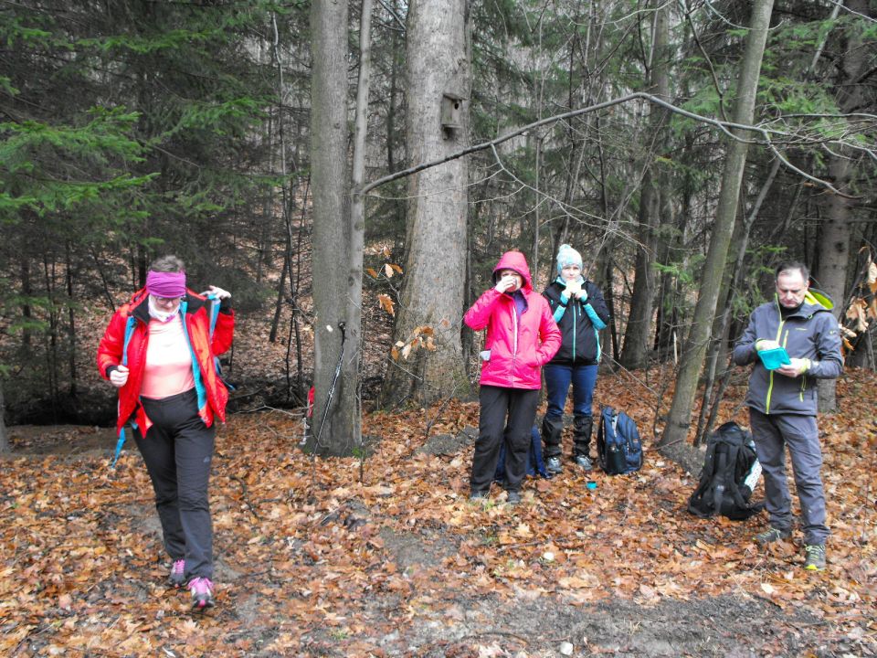 Wycieczka w Góry Sowie s002 - PTTK Strzelin