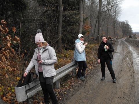 Wycieczka w Góry Sowie s22 - PTTK Strzelin