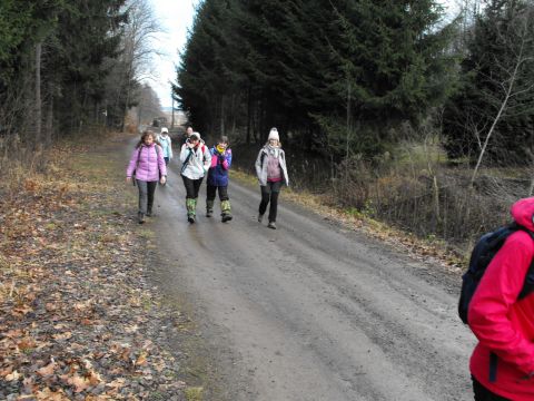 Wycieczka w Góry Sowie s28 - PTTK Strzelin