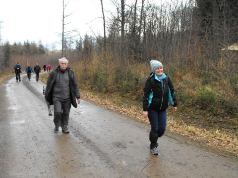 Wycieczka w Góry Sowie s34 - PTTK Strzelin