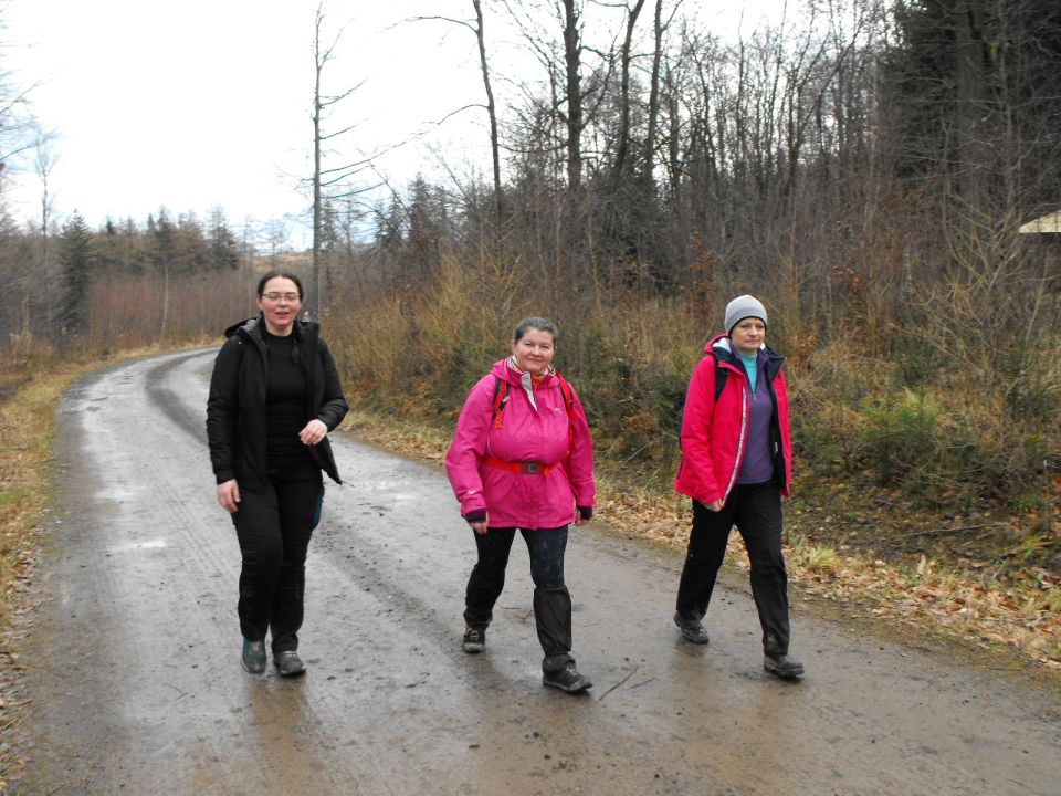 Wycieczka w Góry Sowie s002 - PTTK Strzelin