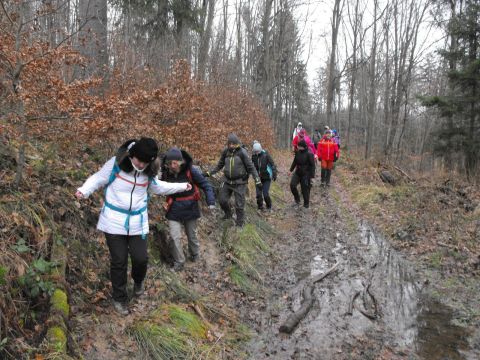 Wycieczka w Góry Sowie s53 - PTTK Strzelin