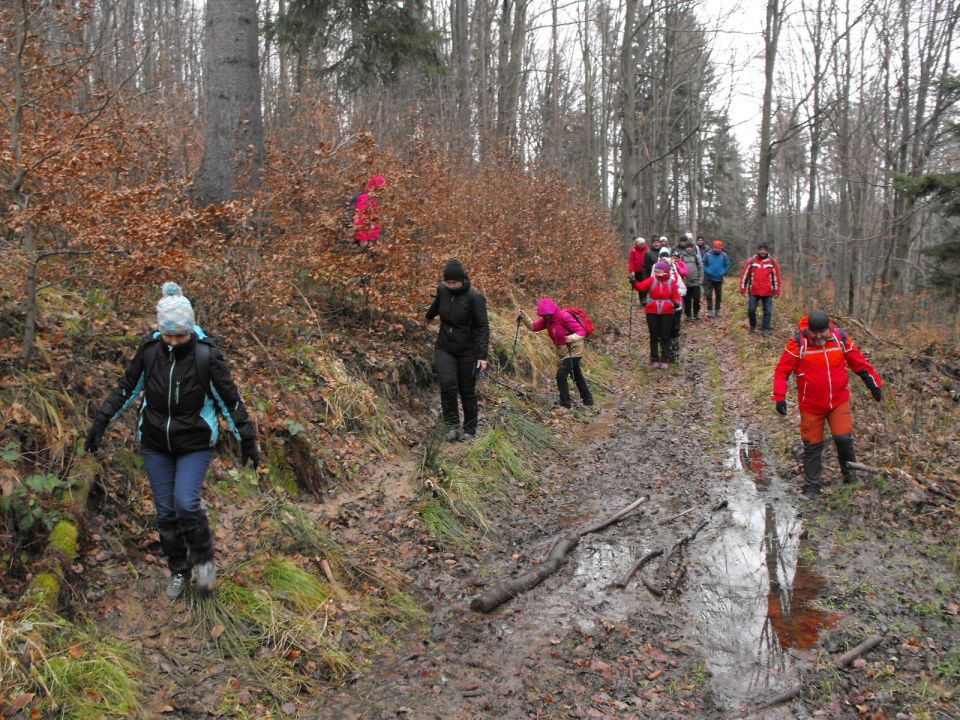 Wycieczka w Góry Sowie s002 - PTTK Strzelin
