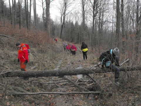 Wycieczka w Góry Sowie s55 - PTTK Strzelin