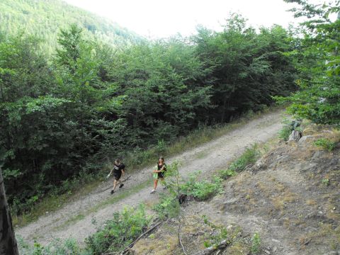 Wycieczka w Góry Sowie s17 - PTTK Strzelin