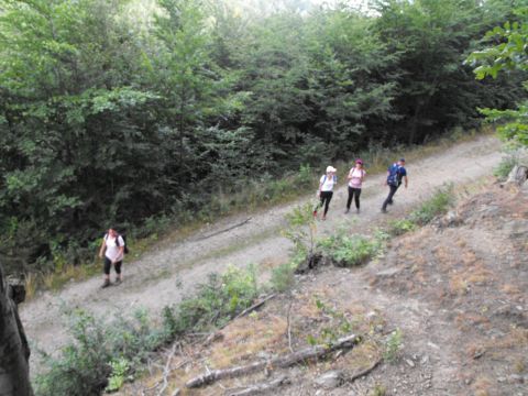 Wycieczka w Góry Sowie s20 - PTTK Strzelin