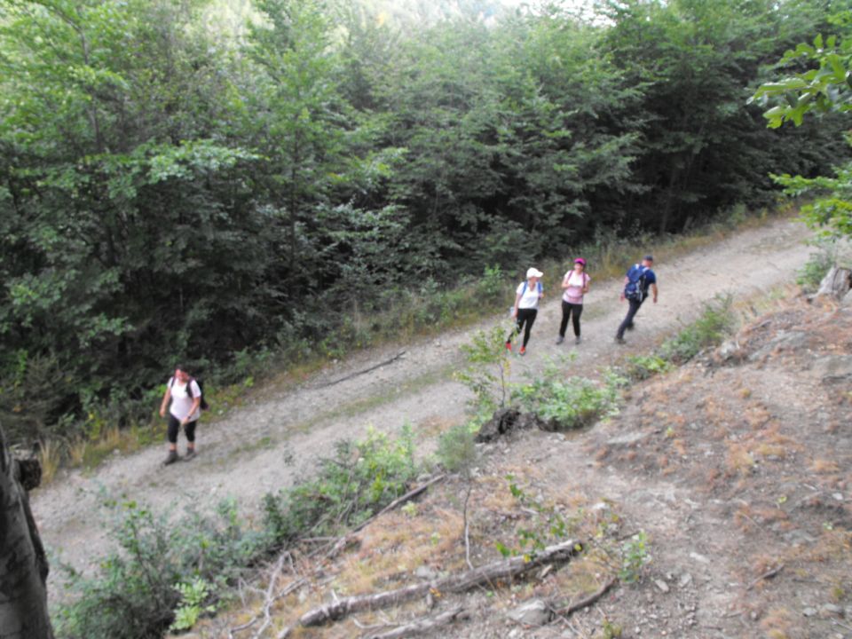 Wycieczka w Góry Sowie s002 - PTTK Strzelin