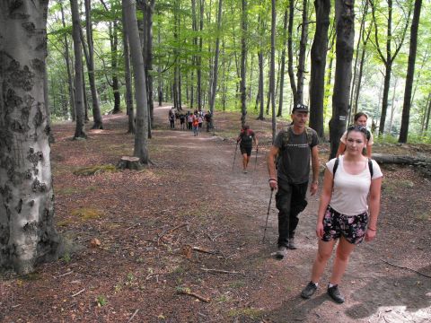 Wycieczka w Góry Sowie s44 - PTTK Strzelin