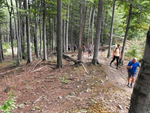 Wycieczka w Góry Sowie s45 - PTTK Strzelin