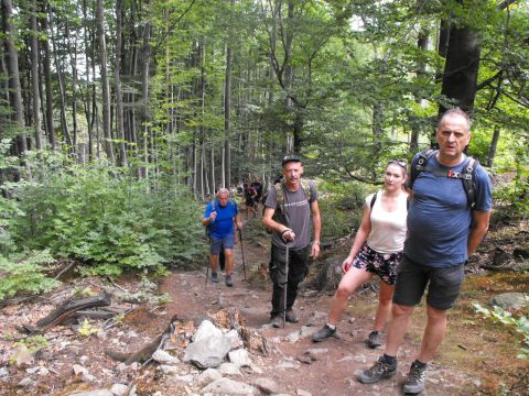 Wycieczka w Góry Sowie s46 - PTTK Strzelin