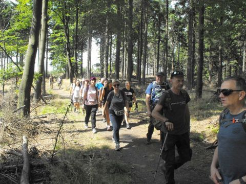 Wycieczka w Góry Sowie s66 - PTTK Strzelin