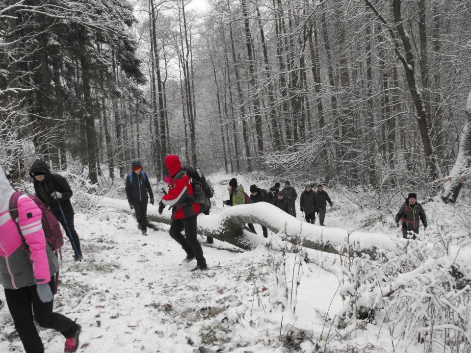 Wycieczka w Góry Sowie s002 - PTTK Strzelin