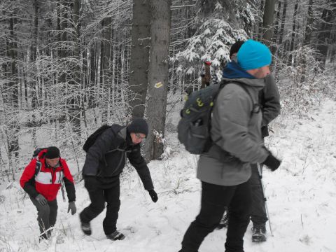 Wycieczka w Góry Sowie s19 - PTTK Strzelin