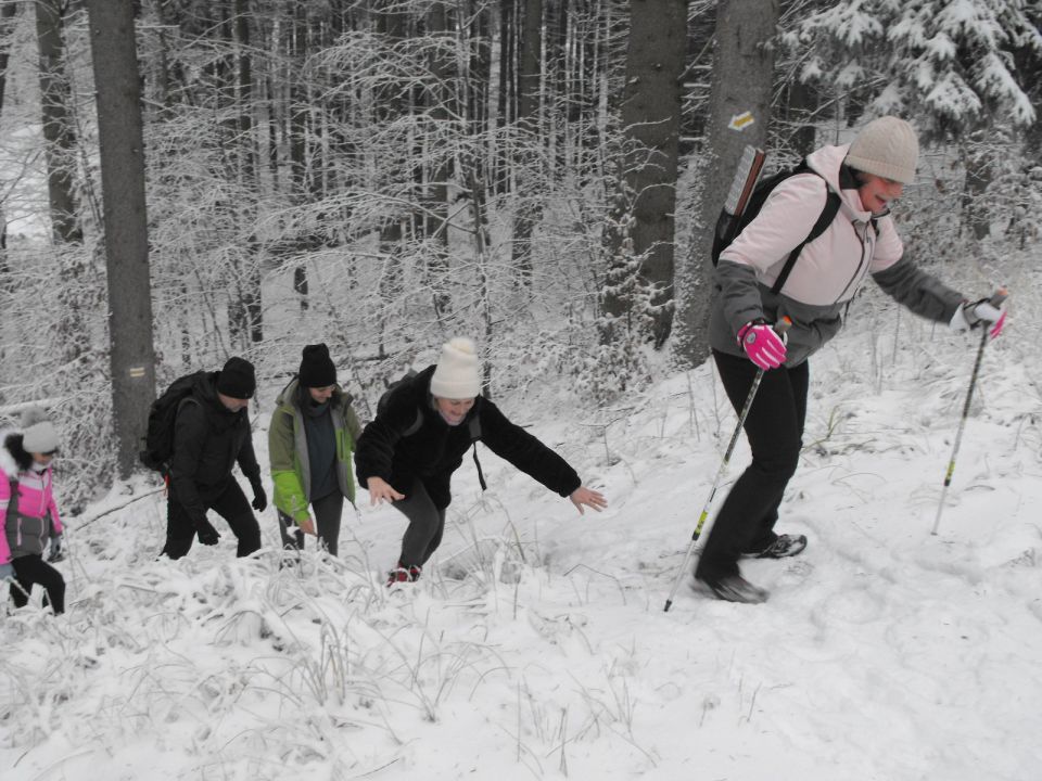 Wycieczka w Góry Sowie s002 - PTTK Strzelin