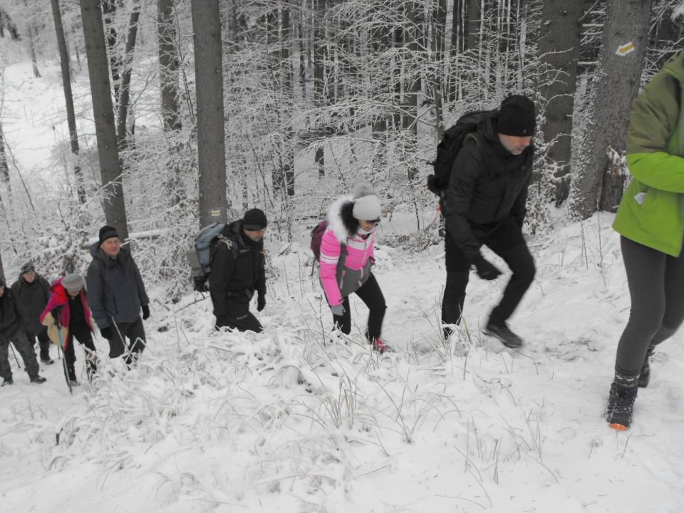 Wycieczka w Góry Sowie s002 - PTTK Strzelin