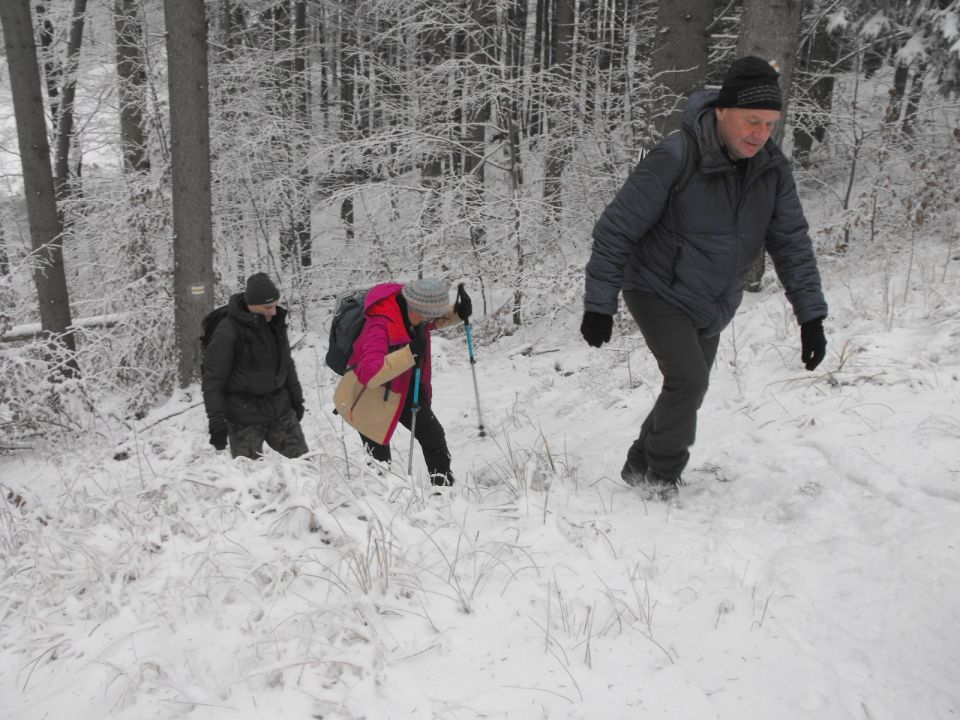 Wycieczka w Góry Sowie s002 - PTTK Strzelin