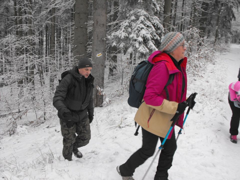 Wycieczka w Góry Sowie s002 - PTTK Strzelin