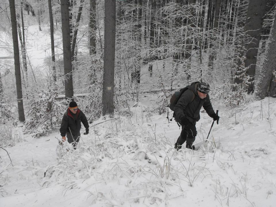 Wycieczka w Góry Sowie s002 - PTTK Strzelin