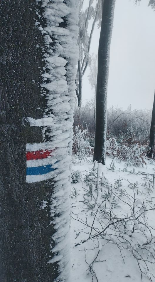 Wycieczka w Góry Sowie s002 - PTTK Strzelin