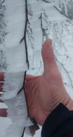 Wycieczka w Góry Sowie s41 - PTTK Strzelin