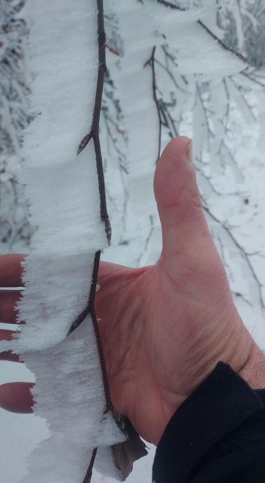 Wycieczka w Góry Sowie s002 - PTTK Strzelin