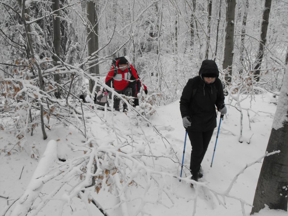 Wycieczka w Góry Sowie s002 - PTTK Strzelin